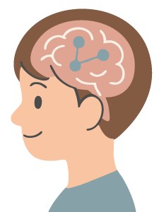 脳の言語機能の発達