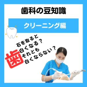 歯石を取ると白くなりますか？